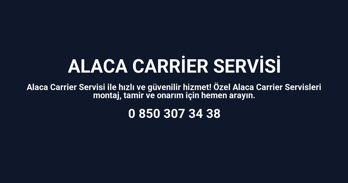 Alaca Carrier Servisi